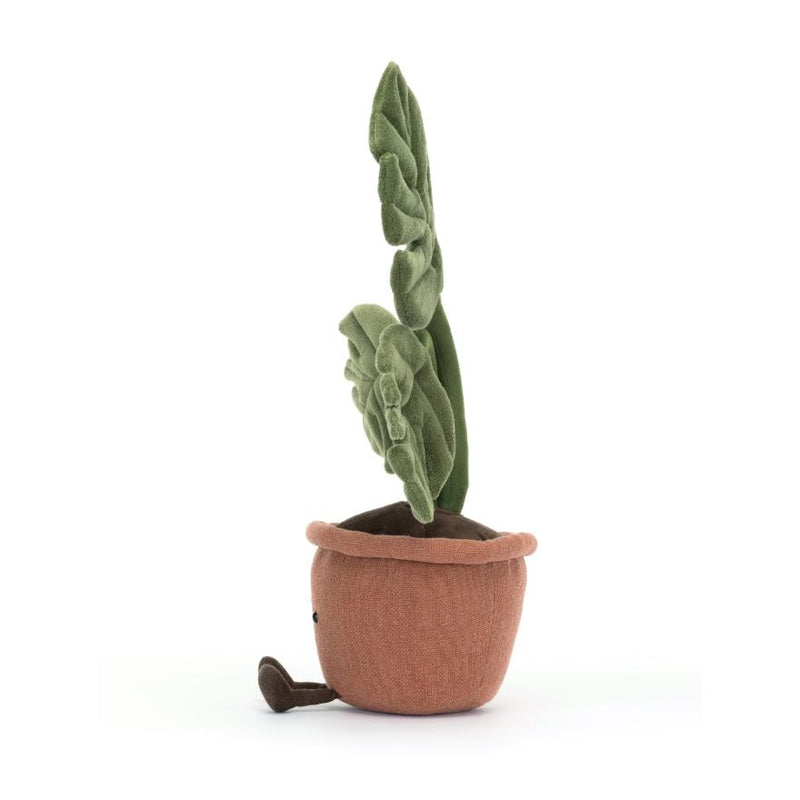 Amuseables Rubber Plant