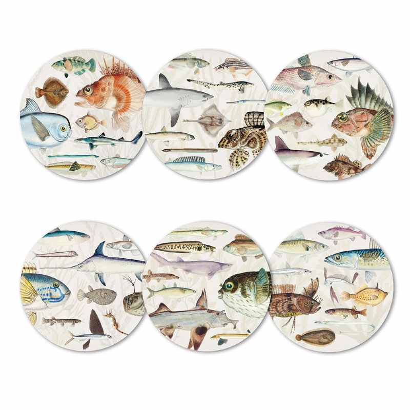 Coasters Fishes Of New Zealand  Set Of 6