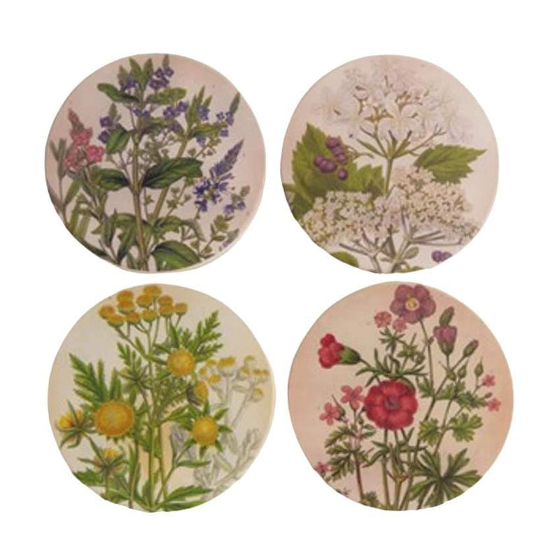 Coasters Medicinal Plants 9cm Set Of 4