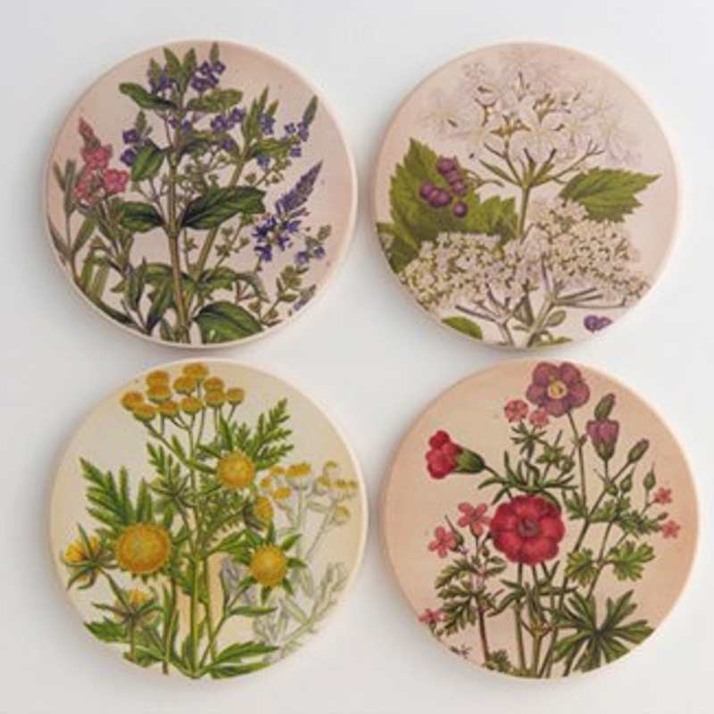 Coasters Medicinal Plants 9cm Set Of 4