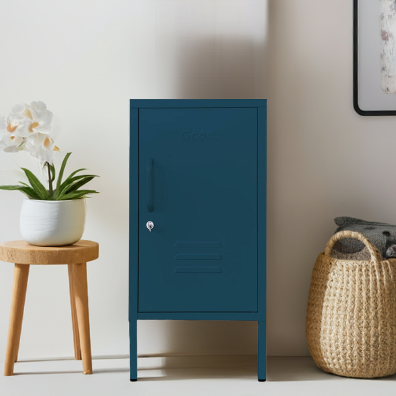 Doris Contemporary Metal Locker