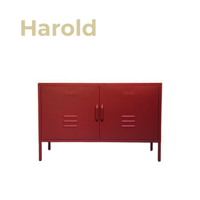 Harold Contemporary Metal Locker