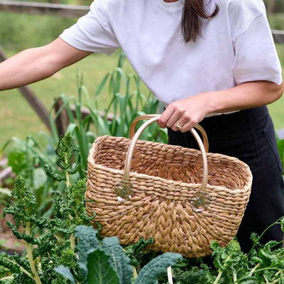 Harvest Baskets Goldie