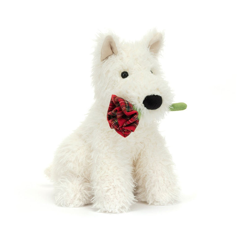 Munro Dog Holding Rose