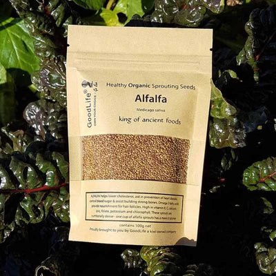 Seeds Alfalfa 100g bag