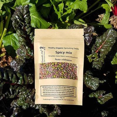 Seeds Spicy Mix Bag 100g