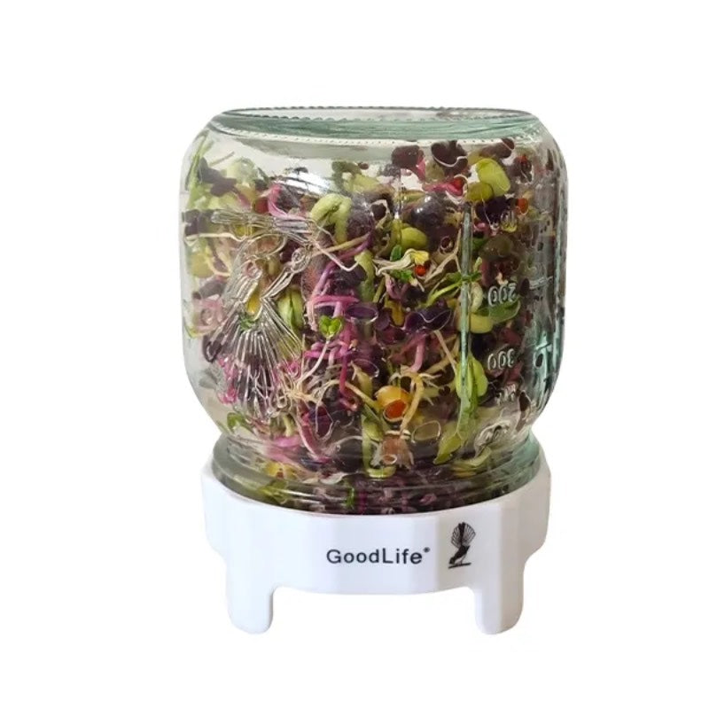 Sprouting Jar Kit 500ml