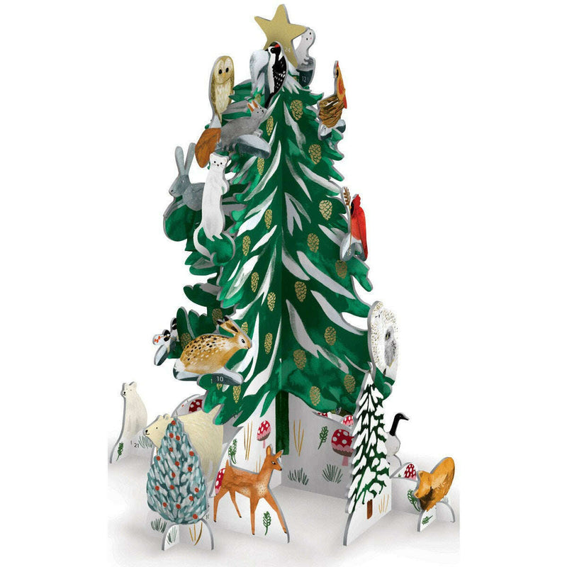 Christmas Conifer Pop & Slot Advent Calendar