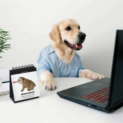 Desktop Flip Book Daily Doggo