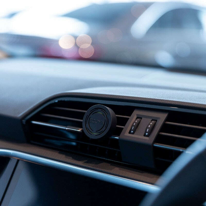 French Pear Car Diffuser